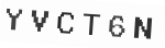 Verification Code Image